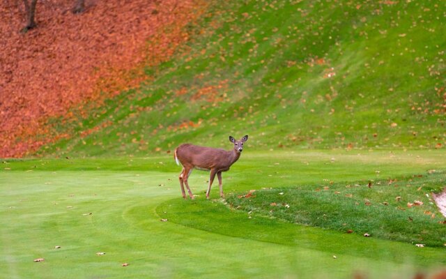 Crown Resorts at Wolf Run