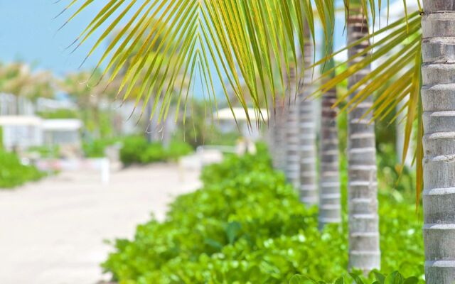 Mahogany Bay Resort & Beach Club, Curio Collection by Hilton