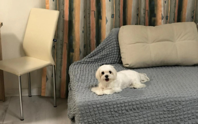 НОВАЯ КРАСИВАЯ квартира.