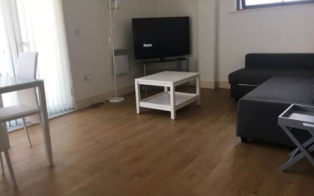 Spacious bright apartment w parking