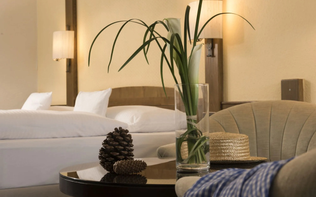 Maritim TitiseeHotel Titisee - Neustadt