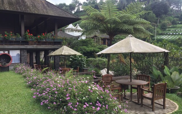 Rumah Stroberi Organic Farm and Lodge