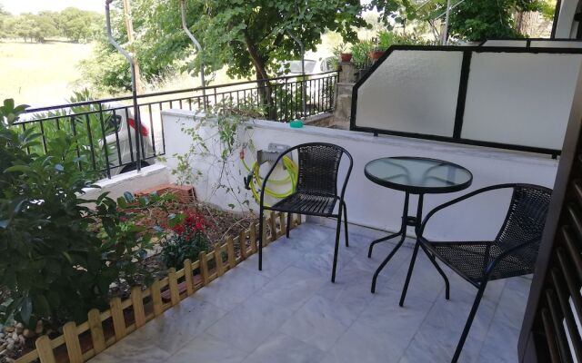 Zoe's Ideal Summer House