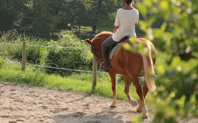 Agriturismo Tenuta Le Sorgive