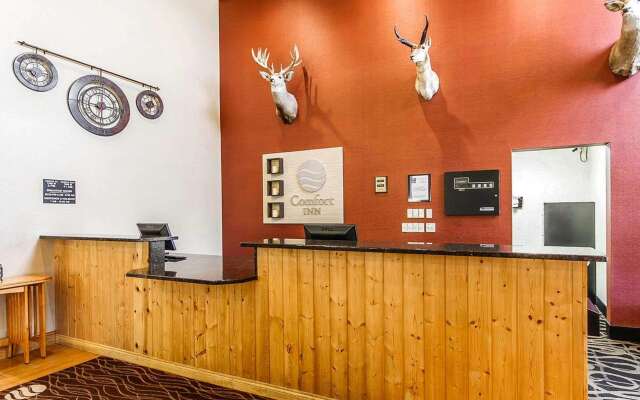 Comfort Inn Owatonna near Medical Center