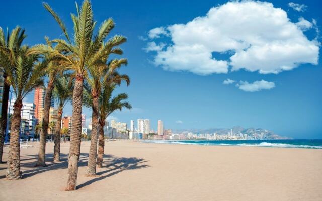 Beferent - Bermudas Benidorm