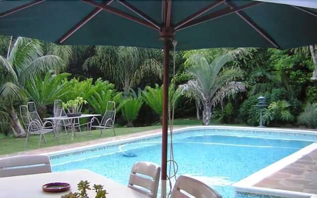 Kennington Palms