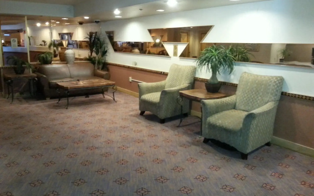 Avi Resort & Casino