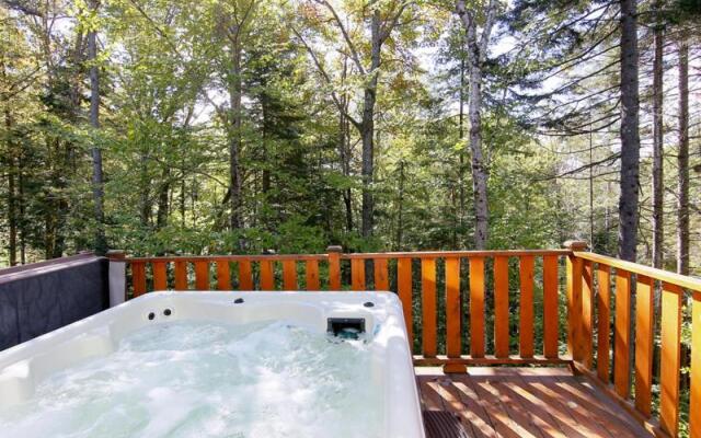 Chalets Alpins - 01 Chemin Alpin