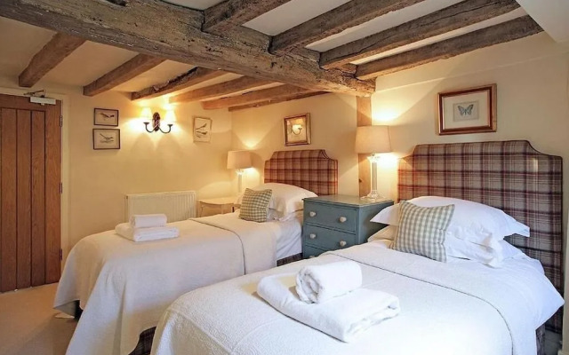 Patience - Tiger Inn