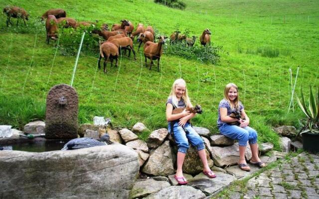 Serene Apartment in Hofstetten with garden amidst luxury of nature