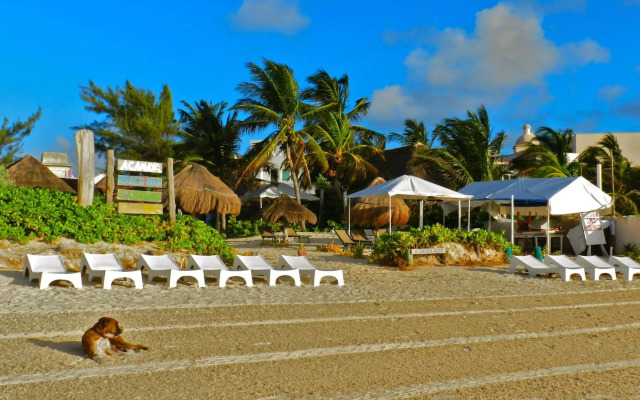 Acamaya Reef Cabanas - Caravan Park