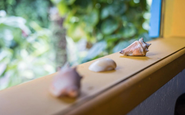 Pousada Canoa Nativa