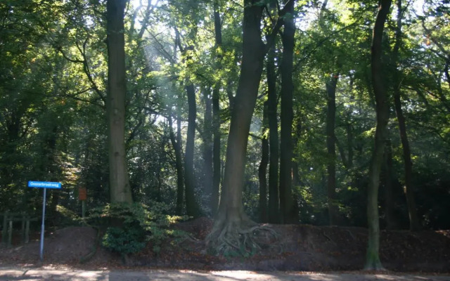 Bed & Breakfast Glimmen