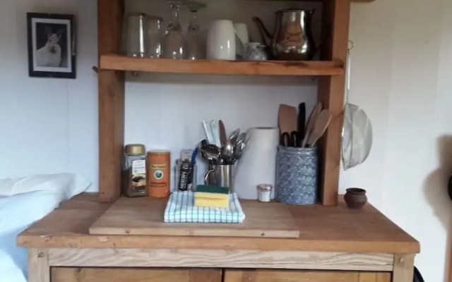 Cosy Woodland off Grid Shepherds Hut - Hazel