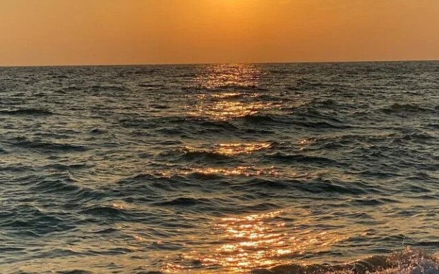 Мелисса (Новофедоровка)