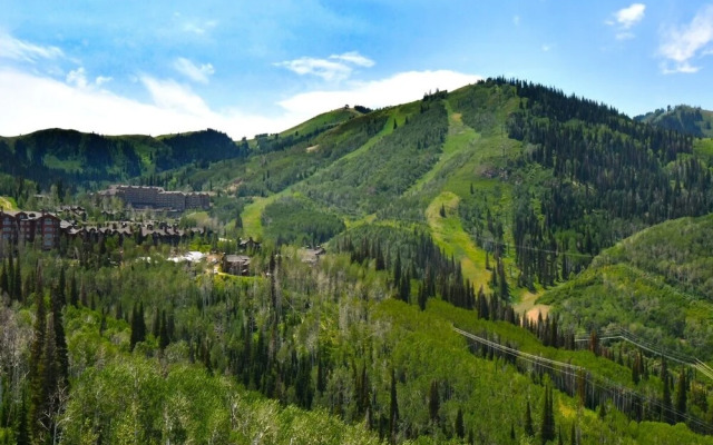 One Empire Pass #503