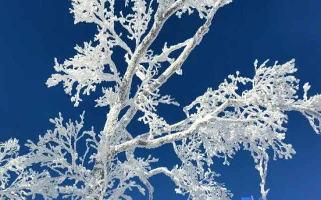 Snow Valley Red Army Inn