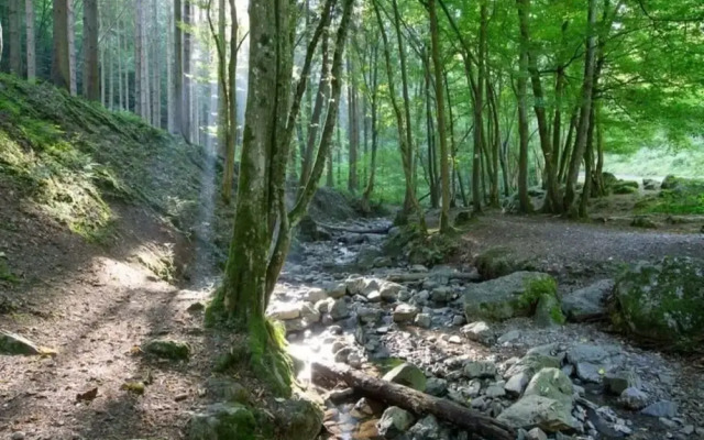 Relaxing Apartment With Jacuzzi