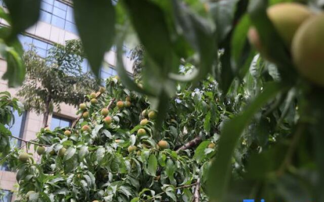 mianyang Filin Taohuadao Hotel