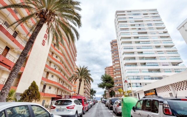 Beferent - Bermudas Benidorm