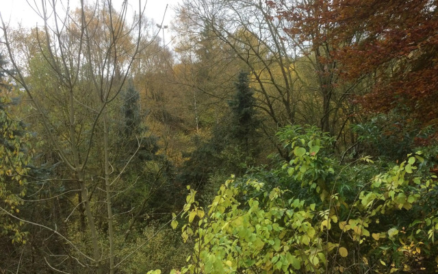 Ferienhaus-stadtkyll Beim Förster