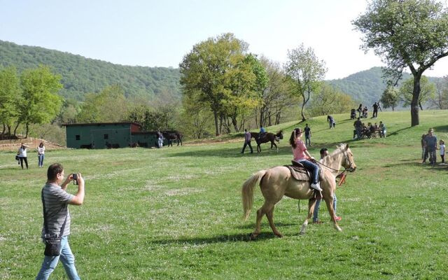 Villaggio Rurale Le Sette Querce