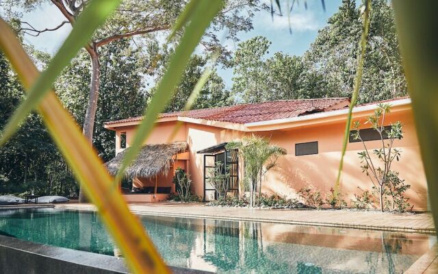 Rapture Surfcamps Costa Rica