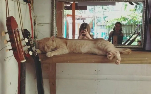 Spanish by the Sea - Bocas - Hostel