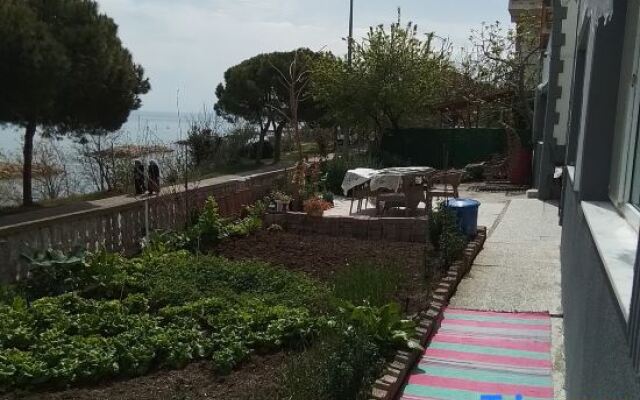 Seaside mansion with detached garden