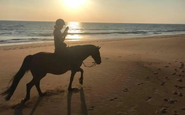 Domaine des Z'Ailés Les Roulottes