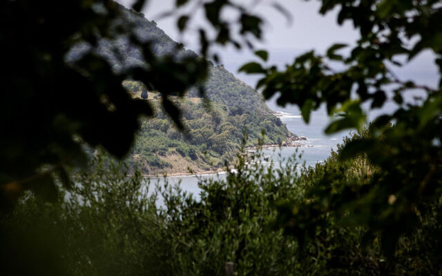 La Selva