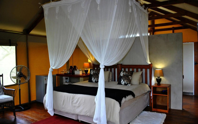 Lion Tree Top Lodge