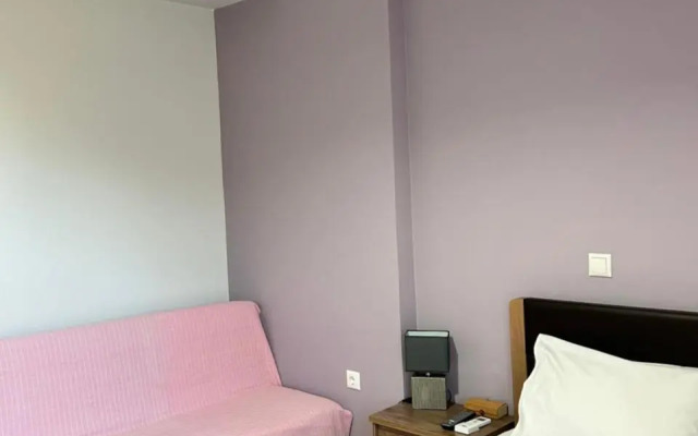 Elsa home