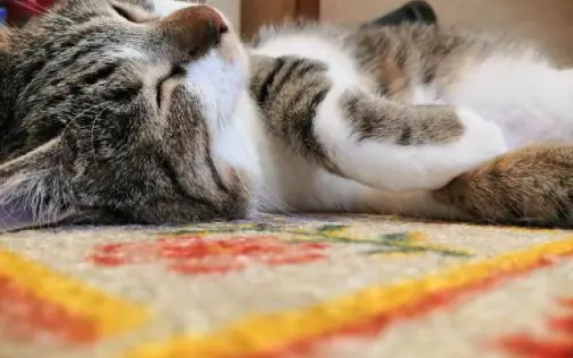 Tiny GuestHouse Umekoji