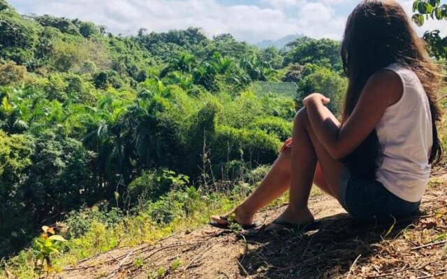 Posada Ecoturistica Palmares Del Rio