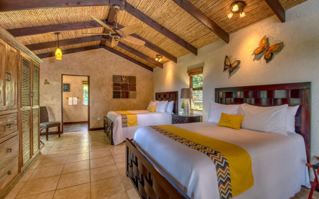 Buena Vista Chic Hotel