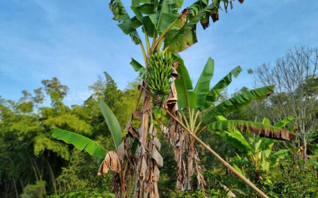 El Recreo Hogar Campesino