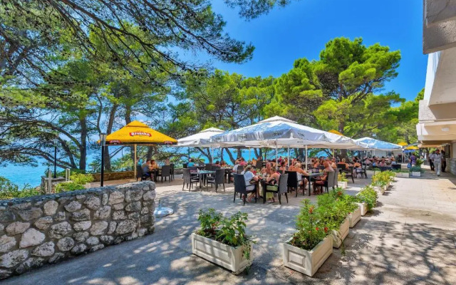 Hotel Alem