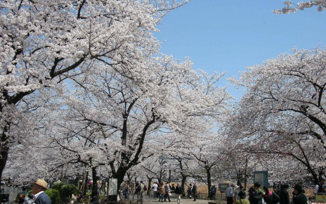 Ueno Terminal Hotel