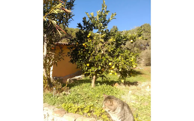 Casa Rural Las Gesillas
