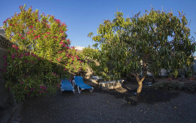 Finca El Gallo