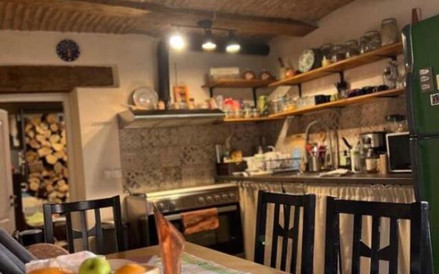 Cozy Contemporary Saxon Apartment