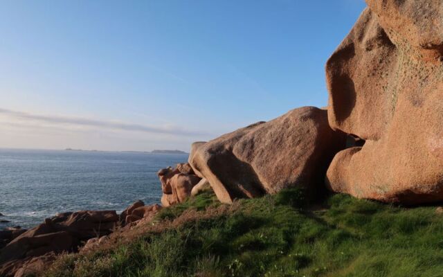 Les Cormorans (TGP101)