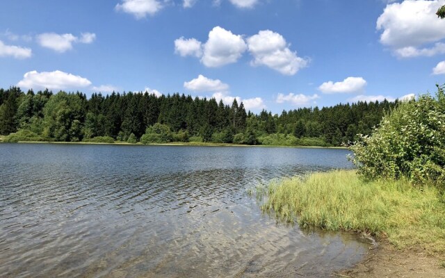 Wooden chalet with oven, in Oberharz near a lake