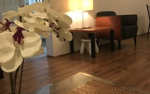Sydney Premium Accomodations - Central