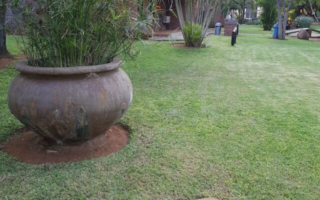 Baobab Chalets