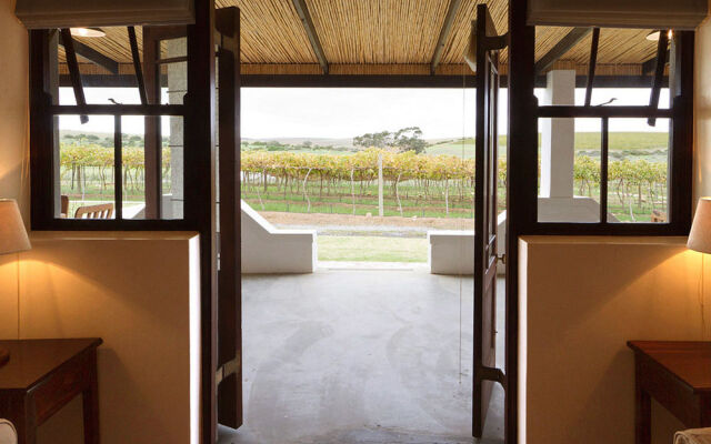 Endless Vineyards at Wildekrans Wine Estate