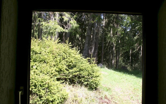 Schwarzwaldhotel Schönwald