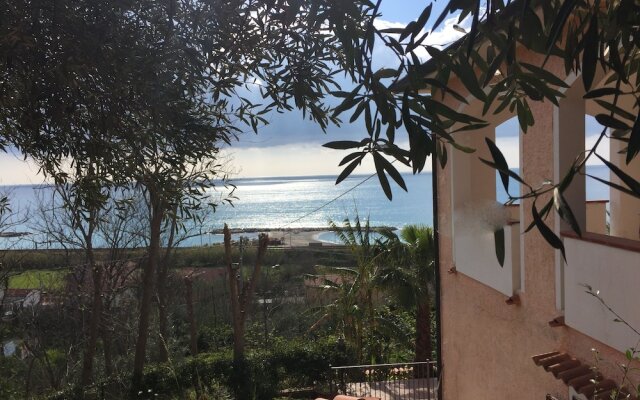 B&B Colle degli Ulivi